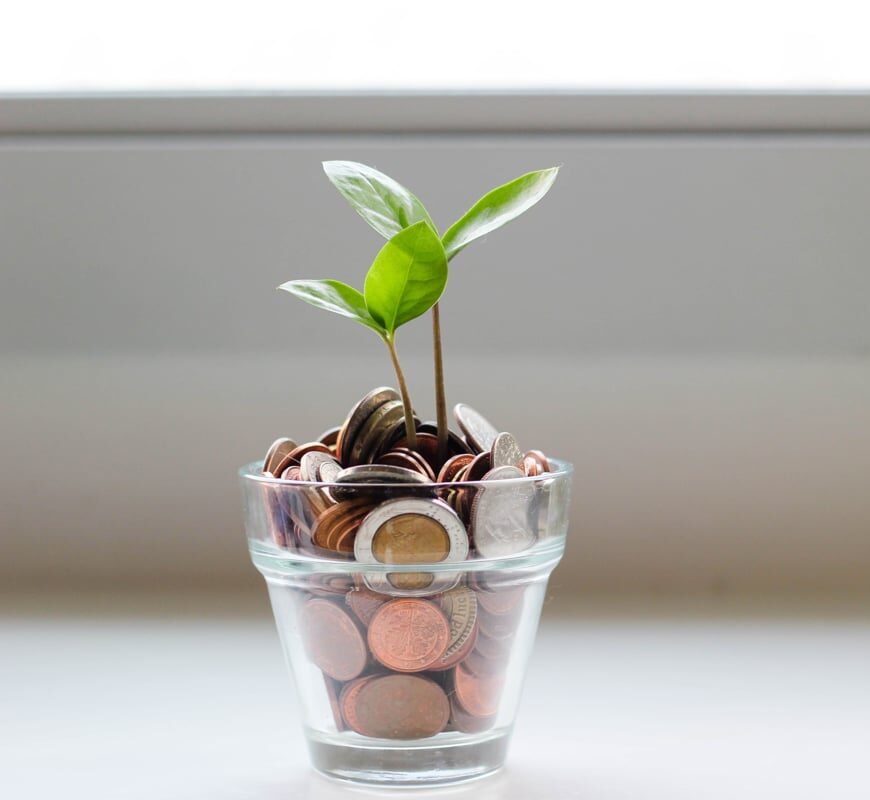 plante dans argent